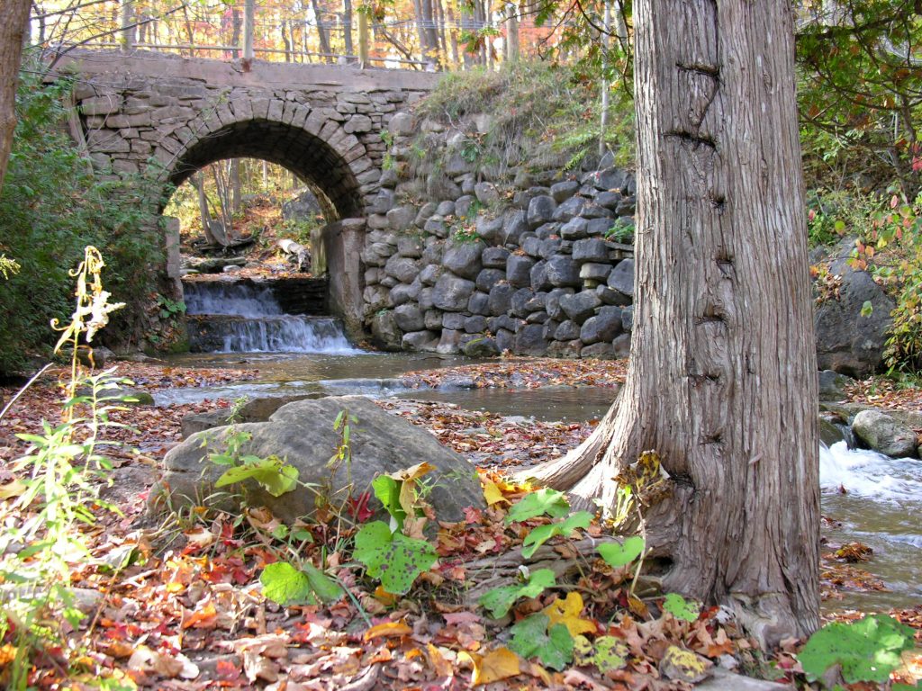 Rattray Marsh Conservation Area