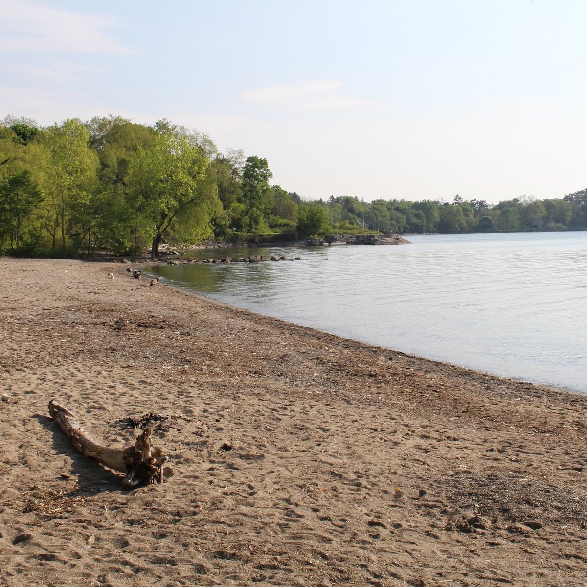 Richard's Memorial Park